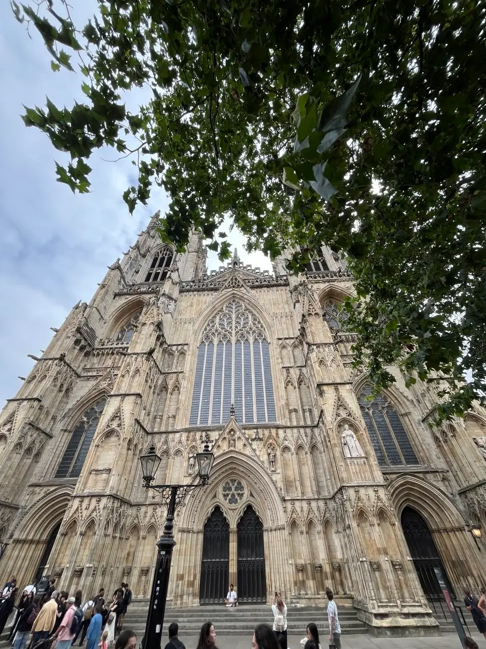 The west front of York Minster seen from below, its two towers and the great traceried window framed by overhanging plane tree leaves